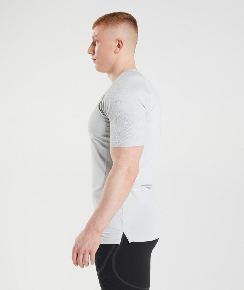 T Shirts Męskie Gymshark 315 Głęboka Szare | PL 3909VRW